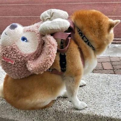 满级人类沙雕头像 搞怪沙雕中二的头像图片