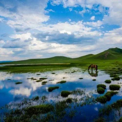 微信旅行头像 高清唯美的适合旅游达人头像图片