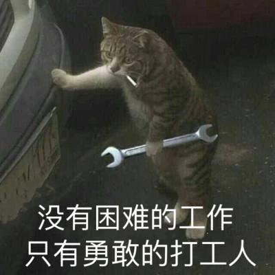 恶搞表情包头像图片大全