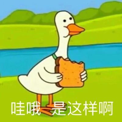 恶搞表情包头像图片大全