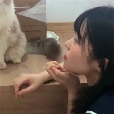 可爱温柔女生头像 高清甜甜干净可爱女生头像图片