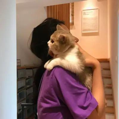 可爱温柔女生头像 高清甜甜干净可爱女生头像图片