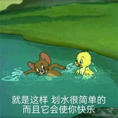 微信表情搞笑头像图片，笑出眼泪！