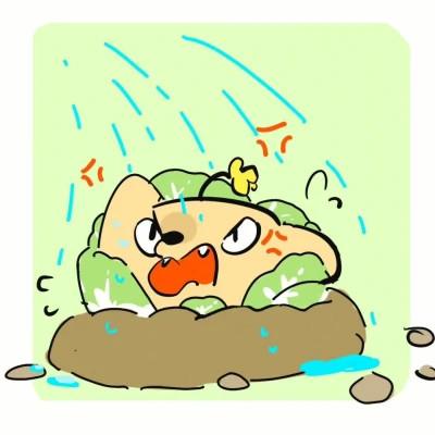 永久不换冷门的情头