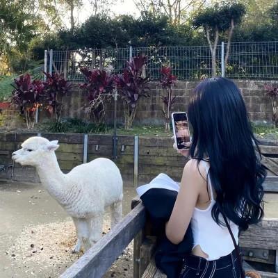 永久不换冷门的情头