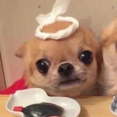 情头微信情侣专用一对合集，美成电影一样的爱情