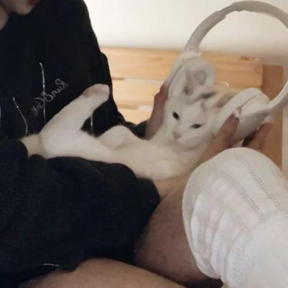 情侣头像男友不是人系,高清可爱的情侣头像之男友不是人图片