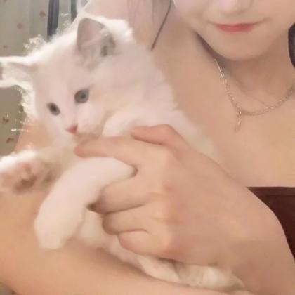 对象不是人情侣头像真人高级图片 女生版猫狗系列