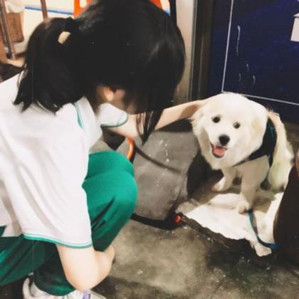 情侣头像男友不是人系,高清可爱的情侣头像之男友不是人图片