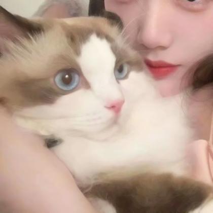 对象不是人情侣头像真人高级图片 女生版猫狗系列
