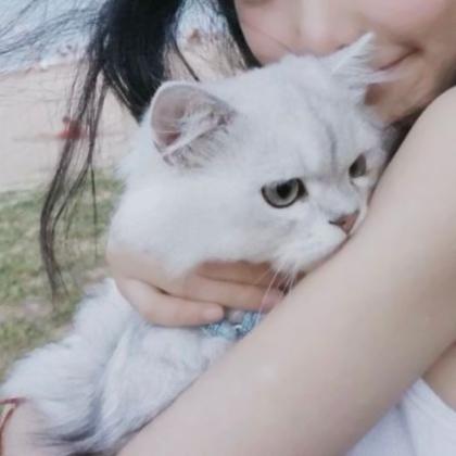 情侣头像男友不是人系,高清可爱的情侣头像之男友不是人图片