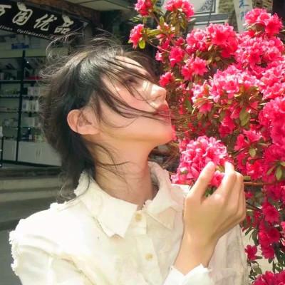 微信高清优质女生头像图片可爱