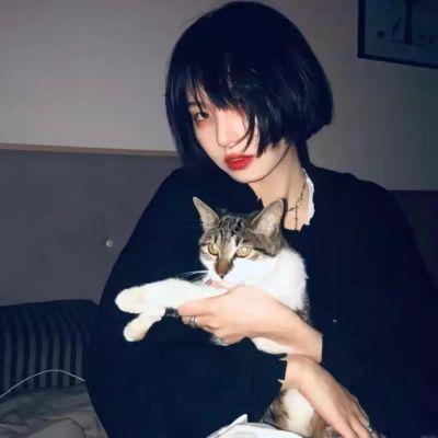 唯美女生头像抱猫真人温柔优质高清图片