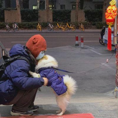 2023最新款情侣头像一人一半,白首不分离是个笑话