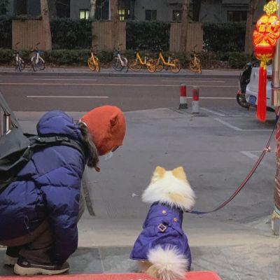 2023最新款情侣头像一人一半,白首不分离是个笑话