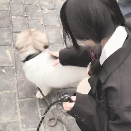 对象是狗系列情头真人 高清有爱女孩和狗情头一左一右图片