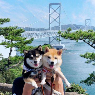修勾情侣高清头像 一起看风景的修勾