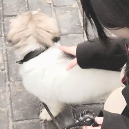 对象是狗系列情头真人 高清有爱女孩和狗情头一左一右图片
