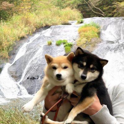 修勾情侣高清头像 一起看风景的修勾