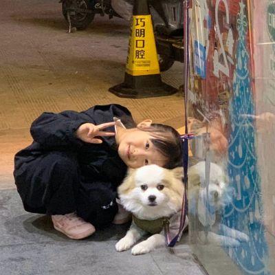 网络个性杂头,风格不统一的图集头像