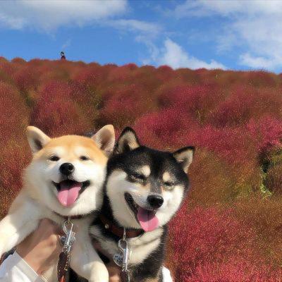 修勾情侣高清头像 一起看风景的修勾
