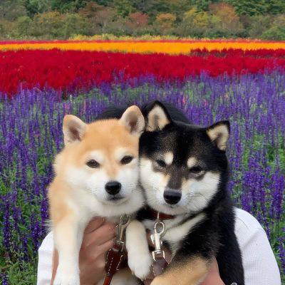 修勾情侣高清头像 一起看风景的修勾