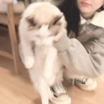 对象是狗系列情头真人 高清有爱女孩和狗情头一左一右图片
