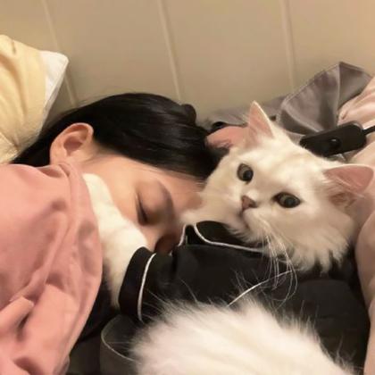 猫咪头像女生 漂亮好看高清抱猫咪的女生头像图片