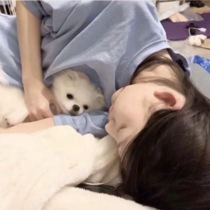 对象是狗系列情头真人 高清有爱女孩和狗情头一左一右图片