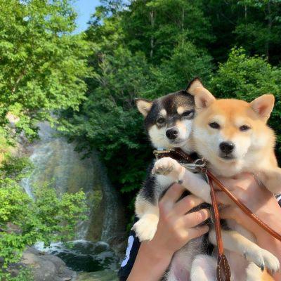 修勾情侣高清头像 一起看风景的修勾