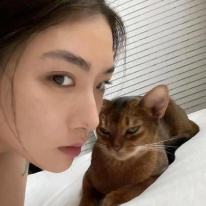 男朋友是猫系列情头 也可以是情头女朋友是猫系列图片