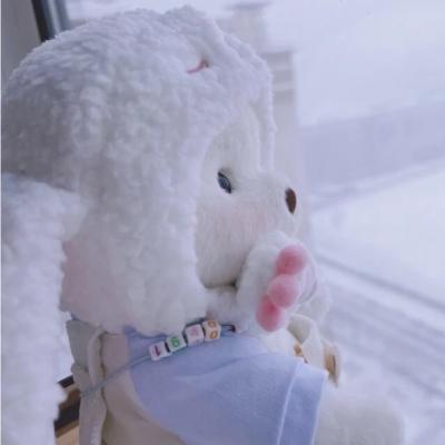 莉娜熊可爱情侣头像,高清一左一右的抖音莉娜熊情侣头像图片