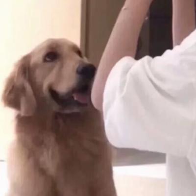 情侣头像可爱搞怪情头一左一右图片