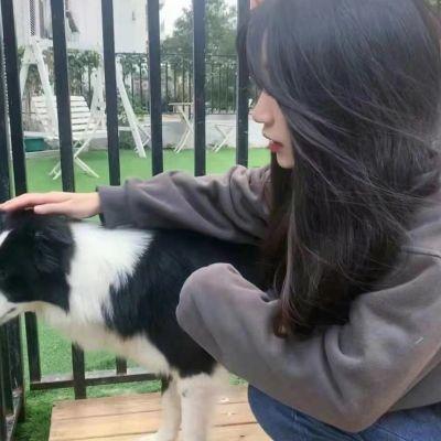 情侣头像没有地位狗人,高清透露出家庭地位的情侣头像图片