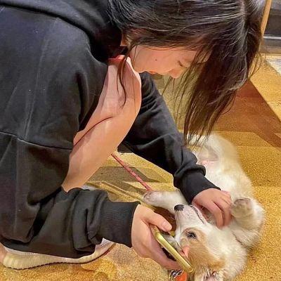 情侣头像没有地位狗人,高清透露出家庭地位的情侣头像图片