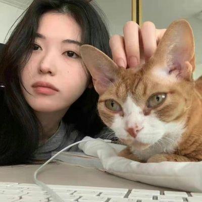 情侣头像没有地位狗人,高清透露出家庭地位的情侣头像图片