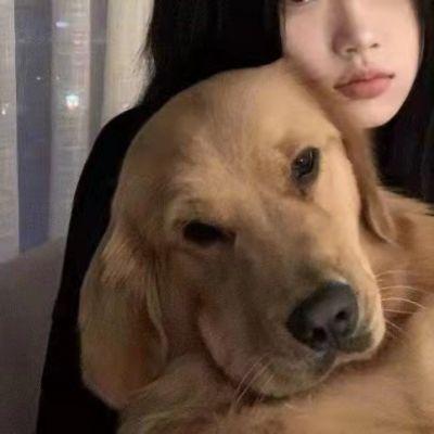 情侣头像没有地位狗人,高清透露出家庭地位的情侣头像图片