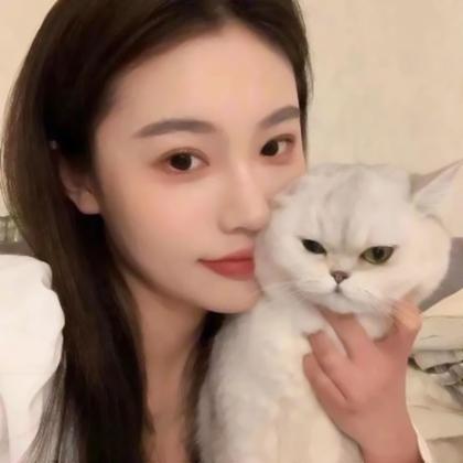 对象是猫系列的情头,高清可爱对象不是人猫系列情头图片