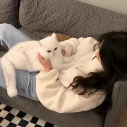 对象是猫系列的情头,高清可爱对象不是人猫系列情头图片