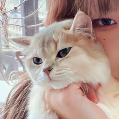 我的对象不是人情头，创意趣味十足