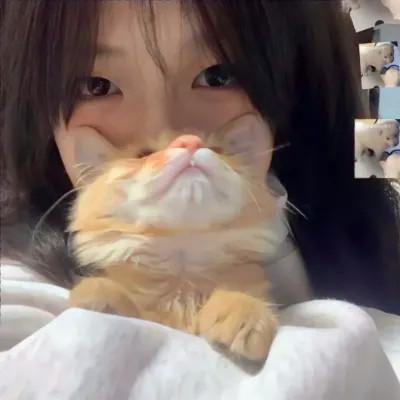 我的对象不是人情头，创意趣味十足