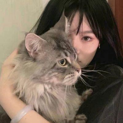 微信头像女生宠物系列,抱猫或抱猫的女头图片