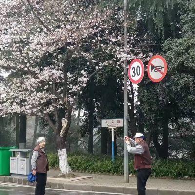 老人浪漫情侣头像图片大全,相伴到老的最火老人情侣头像