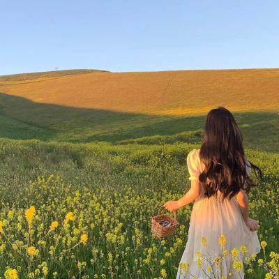 微信高清头像唯美女生风景真人图片