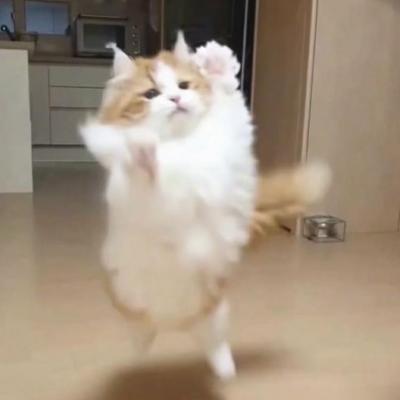 小众可爱搞怪头像情侣头像图片