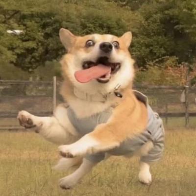 小众可爱搞怪头像情侣头像图片