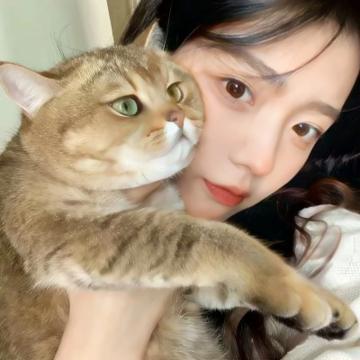 抱猫女头温柔 高清好看温柔干净且惊艳抱猫的女生头像图片