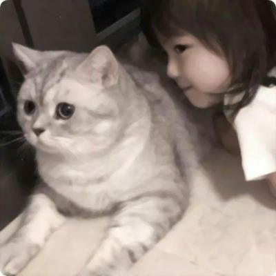 情头可爱超甜萌宠 一对两张的高清情侣头像萌宠搞怪可爱好看图片