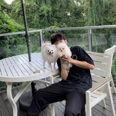 高级不明显的情侣头像一男一女好看图片