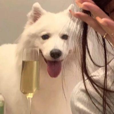 可爱情侣头像对象不是人系列情头图片